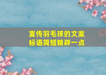 宣传羽毛球的文案标语简短精辟一点