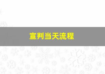 宣判当天流程