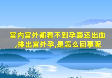 宫内宫外都看不到孕囊还出血,排出宫外孕,是怎么回事呢