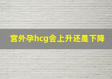 宫外孕hcg会上升还是下降