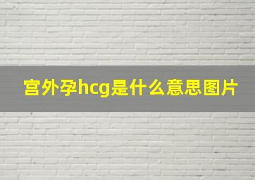 宫外孕hcg是什么意思图片