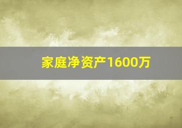 家庭净资产1600万