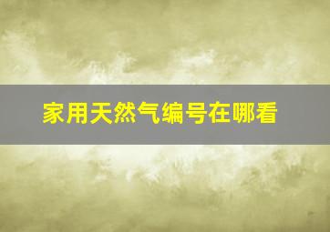 家用天然气编号在哪看