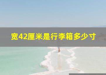 宽42厘米是行李箱多少寸