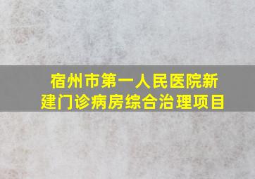 宿州市第一人民医院新建门诊病房综合治理项目