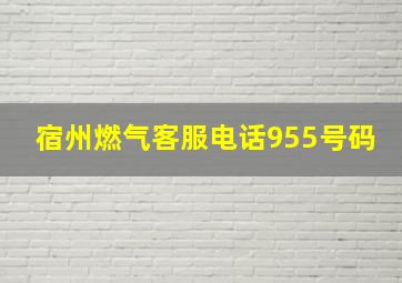 宿州燃气客服电话955号码