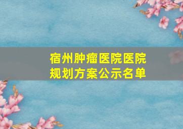 宿州肿瘤医院医院规划方案公示名单