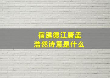 宿建德江唐孟浩然诗意是什么