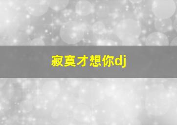 寂寞才想你dj