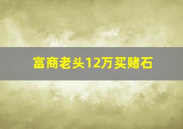 富商老头12万买赌石