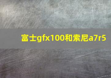 富士gfx100和索尼a7r5