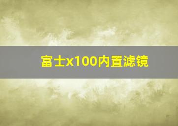 富士x100内置滤镜