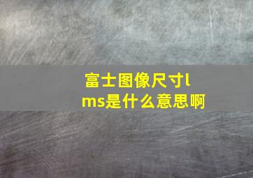 富士图像尺寸lms是什么意思啊