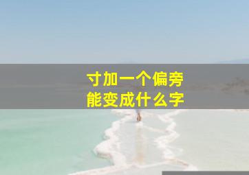 寸加一个偏旁能变成什么字