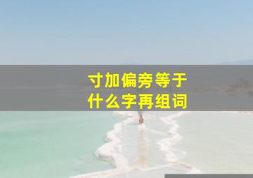 寸加偏旁等于什么字再组词