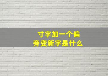 寸字加一个偏旁变新字是什么