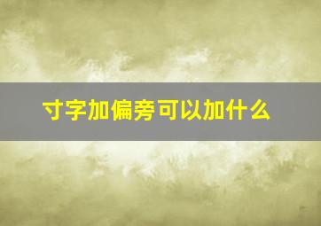 寸字加偏旁可以加什么