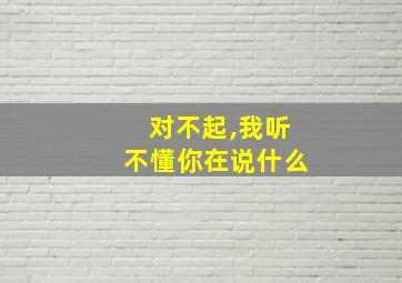 对不起,我听不懂你在说什么