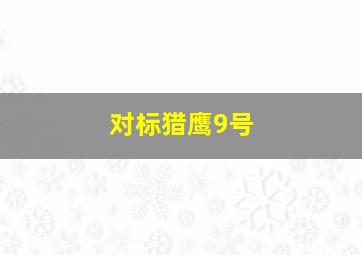 对标猎鹰9号