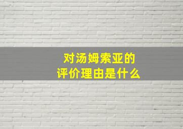 对汤姆索亚的评价理由是什么