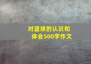 对篮球的认识和体会500字作文