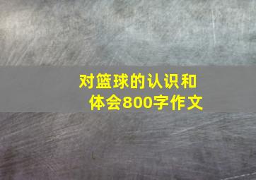 对篮球的认识和体会800字作文