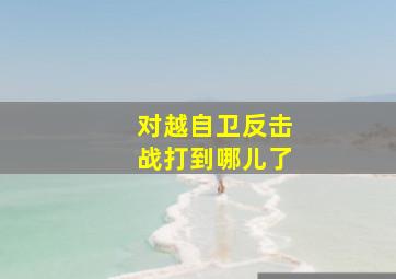 对越自卫反击战打到哪儿了