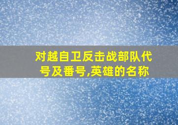 对越自卫反击战部队代号及番号,英雄的名称