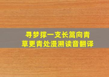 寻梦撑一支长篙向青草更青处漫溯读音翻译