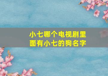 小七哪个电视剧里面有小七的狗名字