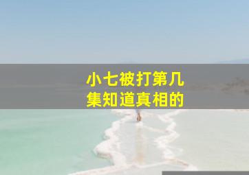 小七被打第几集知道真相的