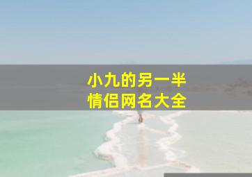 小九的另一半情侣网名大全