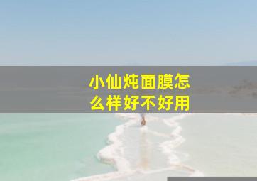 小仙炖面膜怎么样好不好用