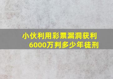 小伙利用彩票漏洞获利6000万判多少年徒刑