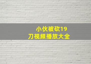 小伙被砍19刀视频播放大全