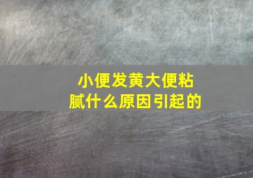 小便发黄大便粘腻什么原因引起的