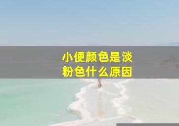 小便颜色是淡粉色什么原因