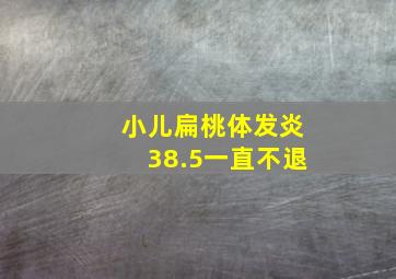 小儿扁桃体发炎38.5一直不退