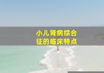 小儿肾病综合征的临床特点