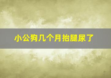 小公狗几个月抬腿尿了