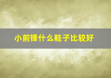 小前锋什么鞋子比较好