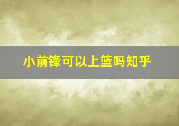 小前锋可以上篮吗知乎