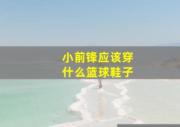 小前锋应该穿什么篮球鞋子