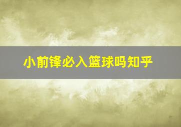 小前锋必入篮球吗知乎