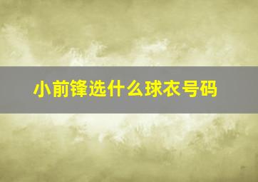 小前锋选什么球衣号码