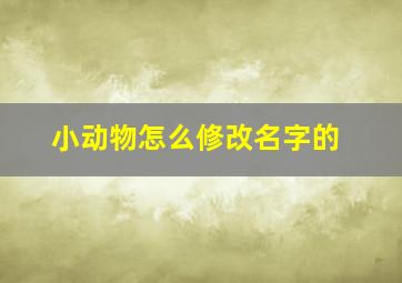 小动物怎么修改名字的