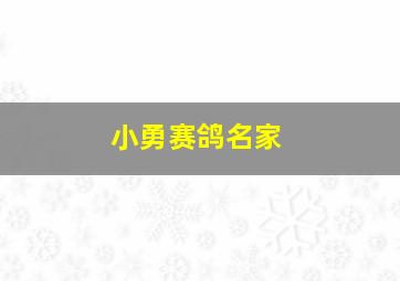 小勇赛鸽名家