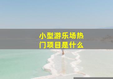 小型游乐场热门项目是什么