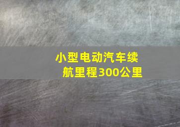 小型电动汽车续航里程300公里