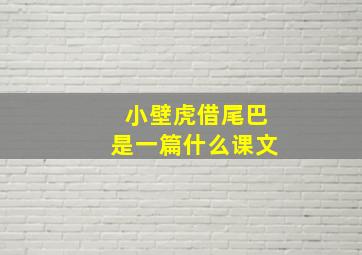 小壁虎借尾巴是一篇什么课文